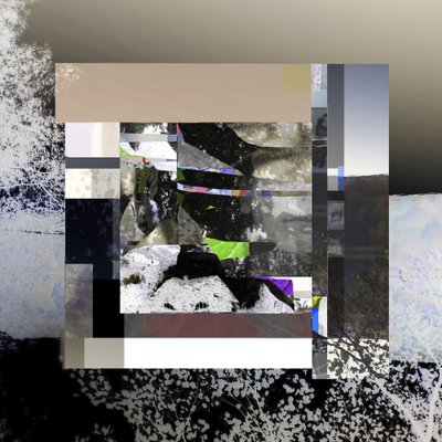 Den fragmenterade digitala naturen av Stefan Fransson