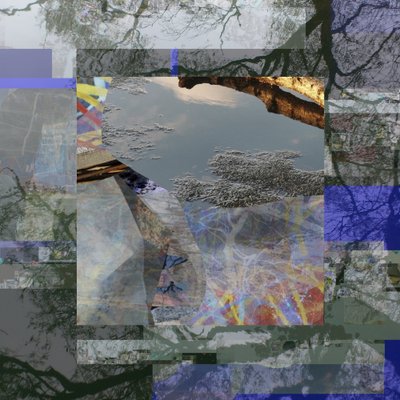 Reflektion av ett splittrat träd av Stefan Fransson