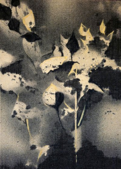 Mörka botaniska former av Stefano Mazzolini