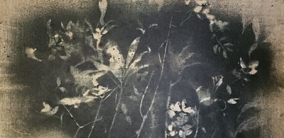 Mörk botanisk studie av Stefano Mazzolini