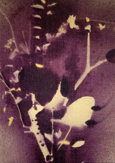 Djuplila botaniska motiv av Stefano Mazzolini