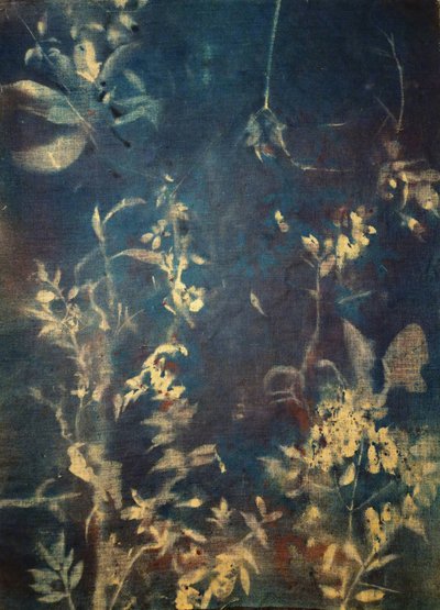 Eteriska blå botaniska motiv av Stefano Mazzolini
