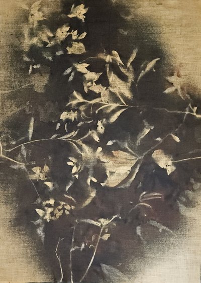 Stämningsfulla blomsterskuggor av Stefano Mazzolini