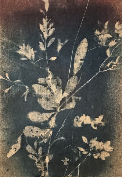 Vintageblå botaniska motiv av Stefano Mazzolini