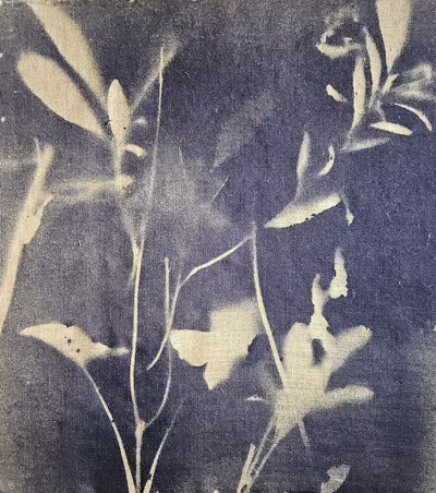 Vintage botaniska blåtoner av Stefano Mazzolini