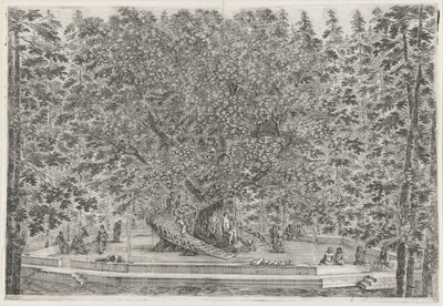 De bewoonde boom i trädgården av Villa Pratolino Villa Pratolino (serietitel) Vues de la villa de Pratolino (serietitel) av Stefano della Bella