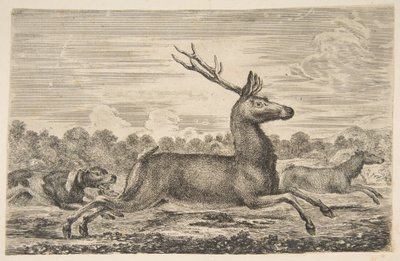 Hundar som jagar en hjort och en då, ca. 1654. av Stefano della Bella