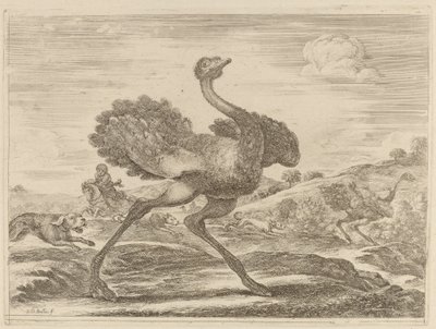 Strutsjakt. av Stefano della Bella