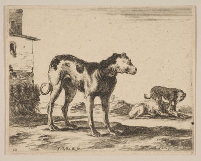 Tallrik 11: hundar, från Diverse djur Diversi animali, ca. 1641. av Stefano della Bella