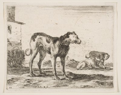 Tallrik 11: hundar, från Diverse djur Diversi animali, ca. 1641. av Stefano della Bella