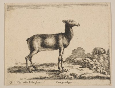 Tallrik 15: doe, från 
