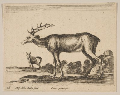 Tallrik 16: hjort, från Diverse djur Diversi animali, ca. 1641. av Stefano della Bella