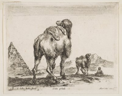 Skylt 18: kamel sedd bakifrån med pyramid till vänster, från Diverse djur Diver..., ca. 1641. av Stefano della Bella