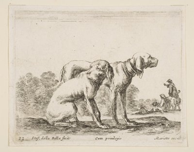 Plåt 23: två hundar, från Diverse djur Diversi animali, ca. 1641. av Stefano della Bella