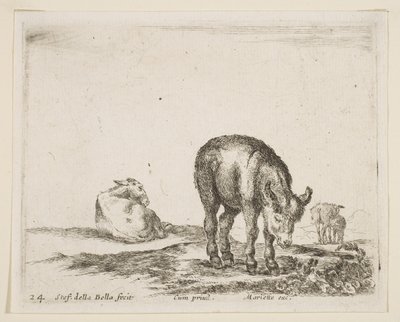 Tallrik 24: åsnor, från Diverse djur Diversi animali, ca. 1641. av Stefano della Bella