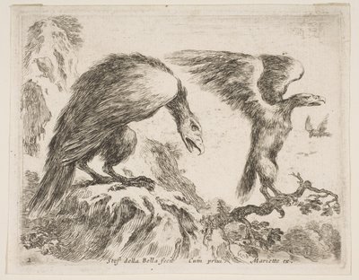 Tavla 2: örn och örn, från Diverse djur Diversi animali, ca. 1641. av Stefano della Bella