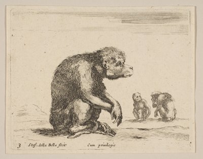 Tallrik 3: sittande apa, från Various animals Diversi animali, ca. 1641. av Stefano della Bella