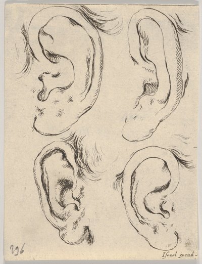 Plåt 5: fyra öron, från The Book for Learning to Draw Book for learning to draw..., ca. 1649. av Stefano della Bella