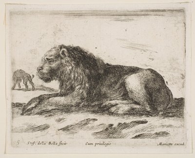 Plåt 5: liggande lejon, från Various animals Diversi animali, 1641. av Stefano della Bella