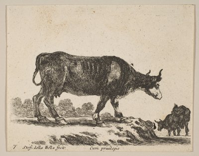 Tallrik 7: ko, från Diverse djur Diversi animali, ca. 1641. av Stefano della Bella