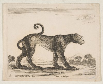 Tallrik 9: leopard, från 
