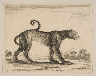 Tallrik 9: leopard, från Diverse djur Diversi animali, ca. 1641. av Stefano della Bella