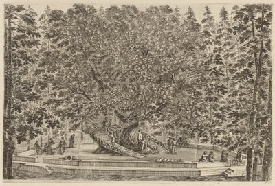 Det bebodda trädet, troligen 1653. av Stefano della Bella