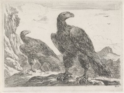 Två örnar med huvuden till höger Eagles (serietitel) av Stefano della Bella