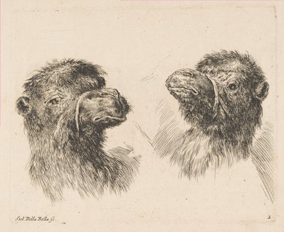 Två kamelhuvuden, ca. 1641. av Stefano della Bella