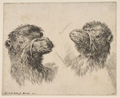 Två kamelhuvuden, ca. 1641. av Stefano della Bella