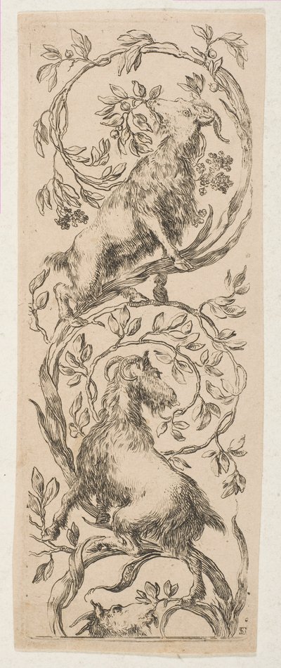 Två getnaggande grenar, ca. 1653. av Stefano della Bella