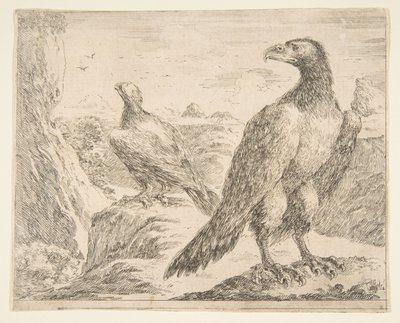Två örnar, från Eagles Les aigles, ca. 1651. av Stefano della Bella