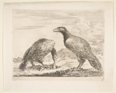 Två örnar, en som slukar ett lamm, från Eagles Les aigles, ca. 1651. av Stefano della Bella