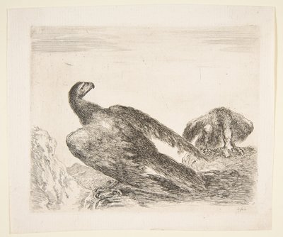 Två örnar, en med byte, från Eagles Les aigles, ca. 1651. av Stefano della Bella