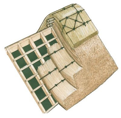 Thatching-processen av Stephen Conlin