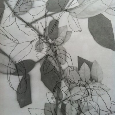 Botanisk, 2014 (digital) av Stephen Dow