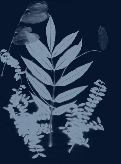 Cyan Foliage 01, 2017 (digital) av Stephen Dow