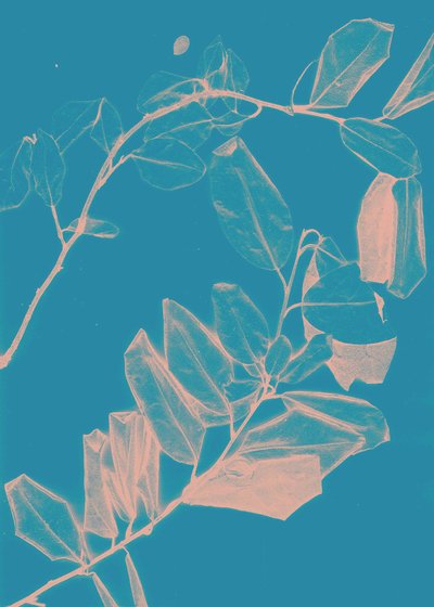 Freyr VI Dawn, 2018 (digital) av Stephen Dow
