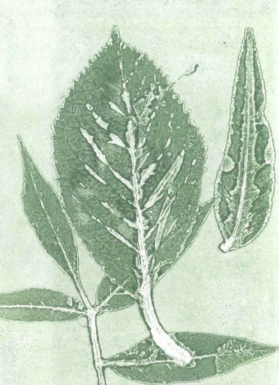Gone IX, 2015 (monoprint på papper) av Stephen Dow