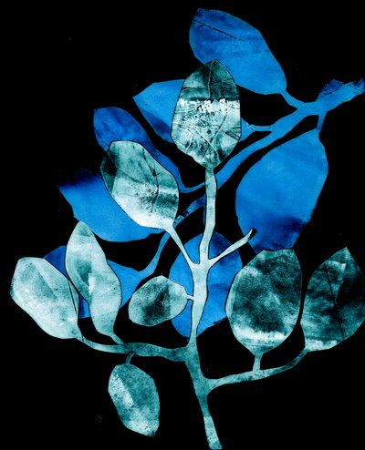 Nocturnal Garden, 2017 (digital, från en kollagraf) av Stephen Dow