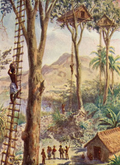 Illustration av biskop Pattesons liv (färglitografi) av Stephen T. Dadd