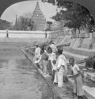 Pilgrimer som matar heliga sköldpaddor, Arakan Pagoda, Mandalay, Burma, 1908. av Stereo Travel Co