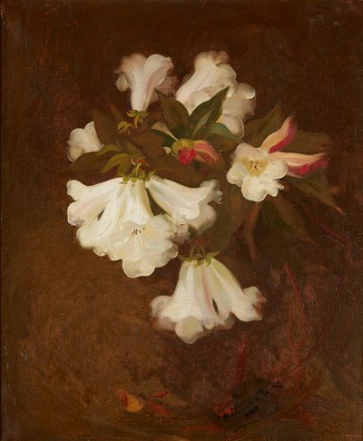 A Still Life of White Lilies (olja på duk) av Stuart Park