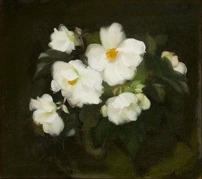 Vita rosor (olja på duk) av Stuart Park