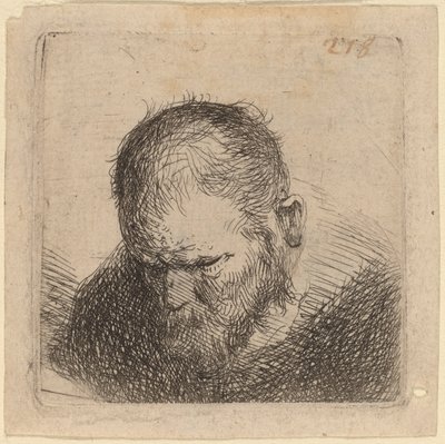 Skäggig Man Ser ner av Studio of Rembrandt van Rijn