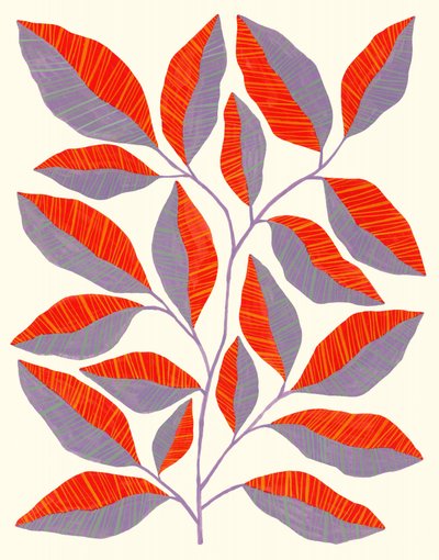  av Susan Black