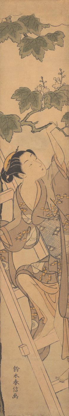 Ung kvinna som klättrar på en stege, ca. 1768., ca. 1768. av Suzuki Harunobu