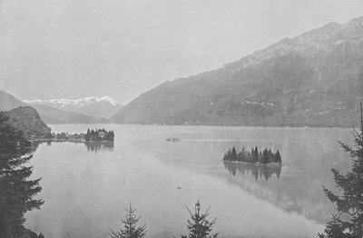Iseltwald, Lac de Brienz (s/v foto) av Swiss Photographer