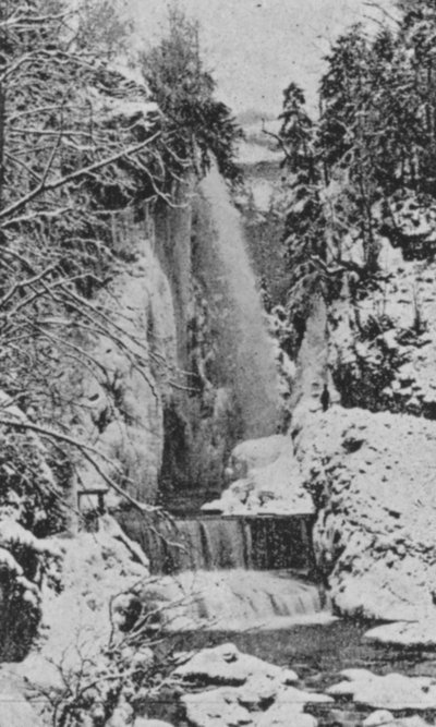 Taubenloch Gorges, nära Biel på vintern (s/v foto) av Swiss Photographer