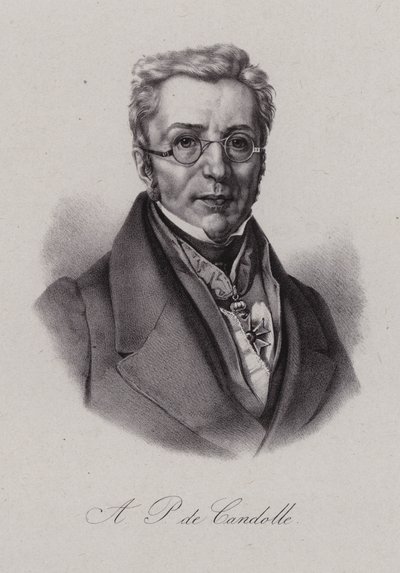 Augustin Pyramus från Kuba, schweizisk botaniker (gravyr) av Swiss School